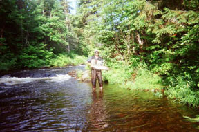 Scotts Salmon