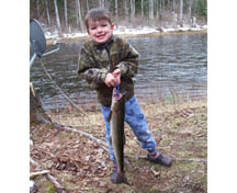Will Salmon