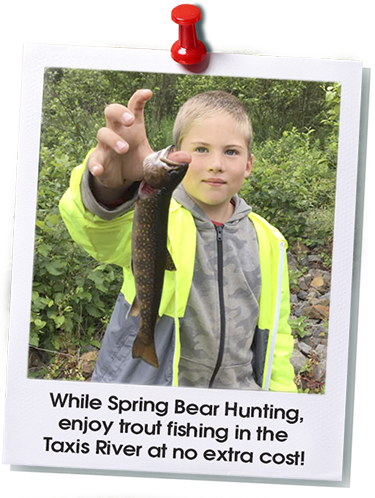 Spring bear hunters can enoy trout fishing in the Taxis river