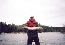 Andrews Salmon