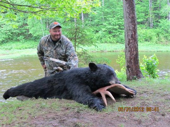 Bear