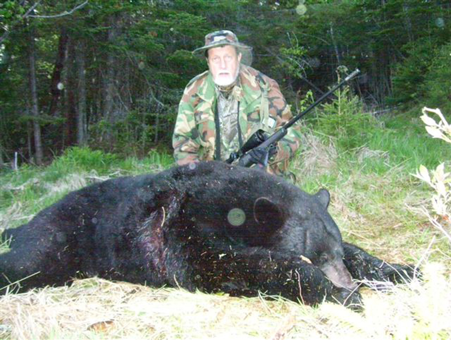 Bear