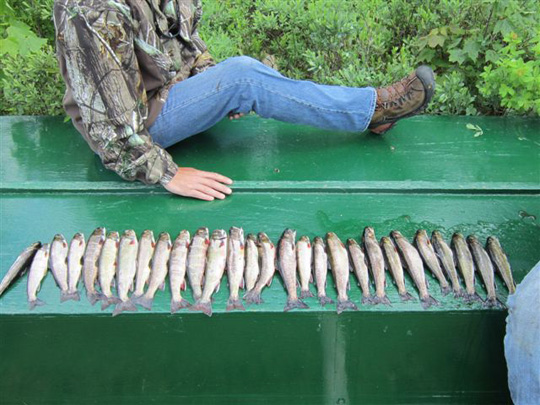 fishing