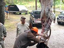 Dale bags a bull moose