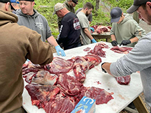Black Bear Taxis River
