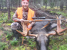 moose