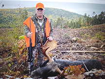 Bull Moose